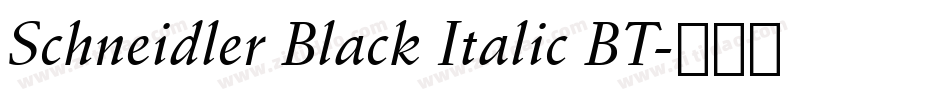 Schneidler Black Italic BT字体转换